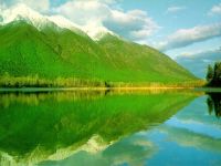 Обои Природа