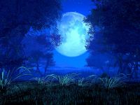 Обои Природа