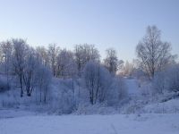 Обои Природа